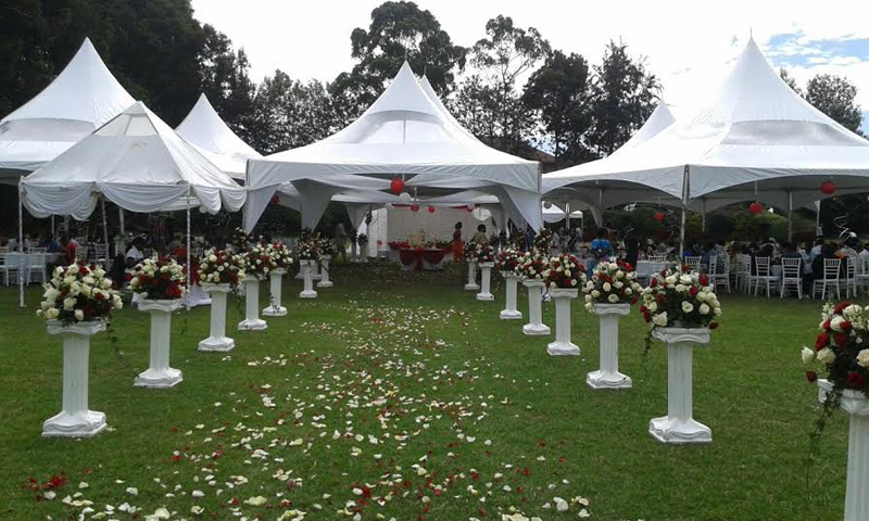 Main Garden